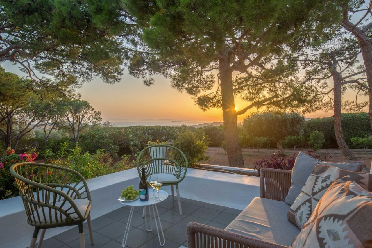 Villa Oasis With Large Pool Athenian Riviera Lagonissi لاغونيسي المظهر الخارجي الصورة
