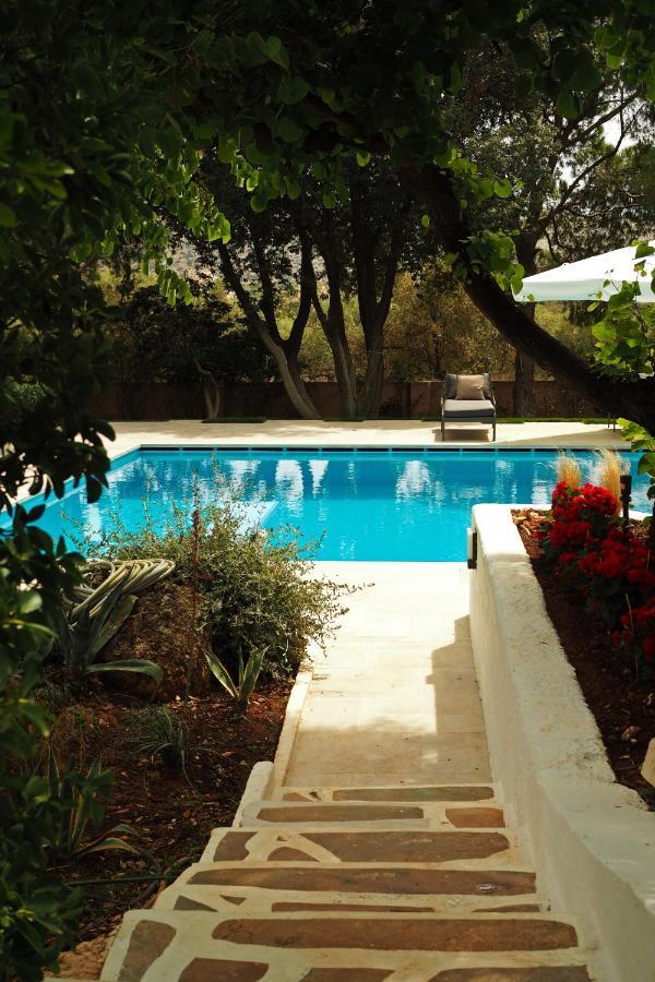 Villa Oasis With Large Pool Athenian Riviera Lagonissi لاغونيسي المظهر الخارجي الصورة