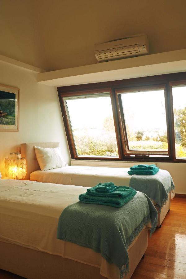 Villa Oasis With Large Pool Athenian Riviera Lagonissi لاغونيسي المظهر الخارجي الصورة